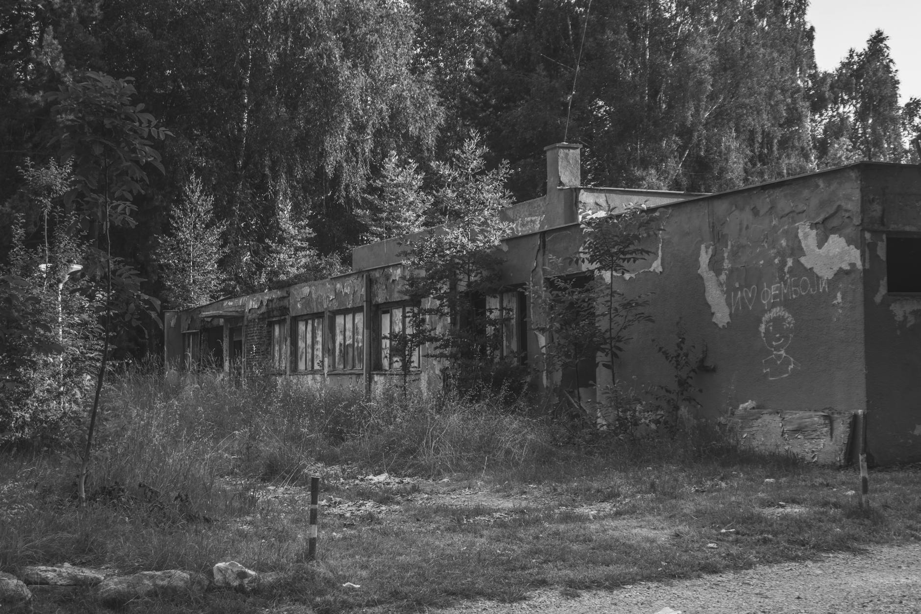Zielone Świątki w Żyrardowie: Tradycja, natura i miejskie świętowanie